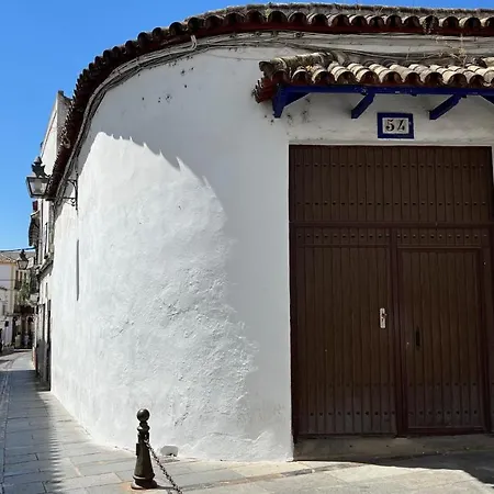 Wallada Mezquita *